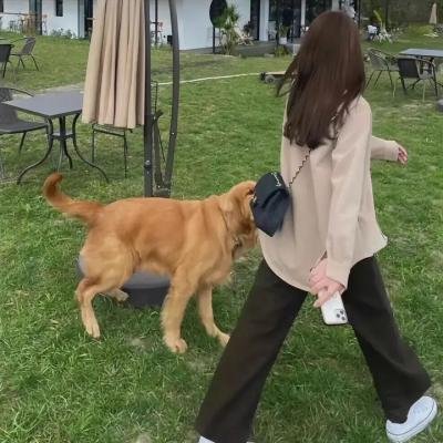 终结者2：审判日