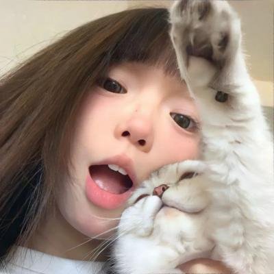 真探